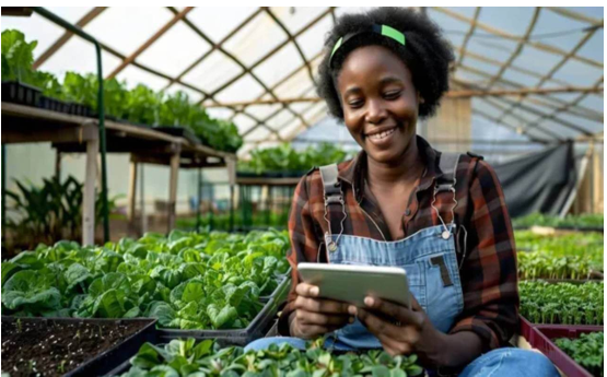 Purpose Led Innovation